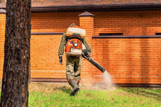 Trusted Termite Control service in Gastonville, PA - Nex Pest Control